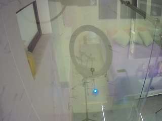 voyeurcam casa salsa bathroom 13